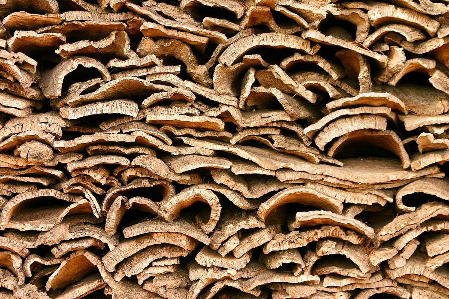 Kork plade Hvad er kork lavet af?